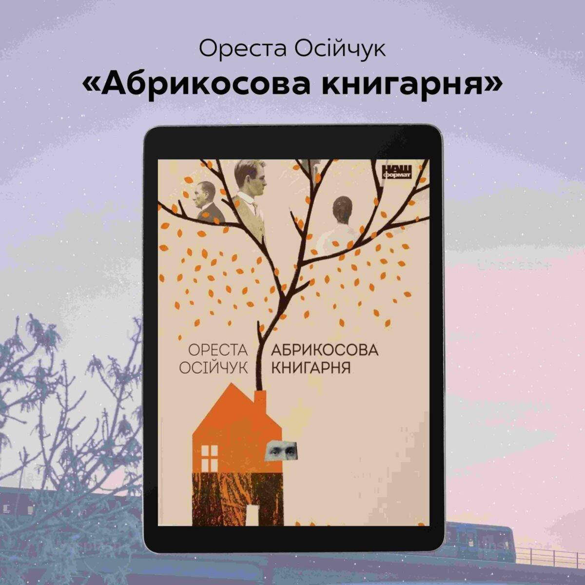 Ореста Осійчук Абрикосова книгарня