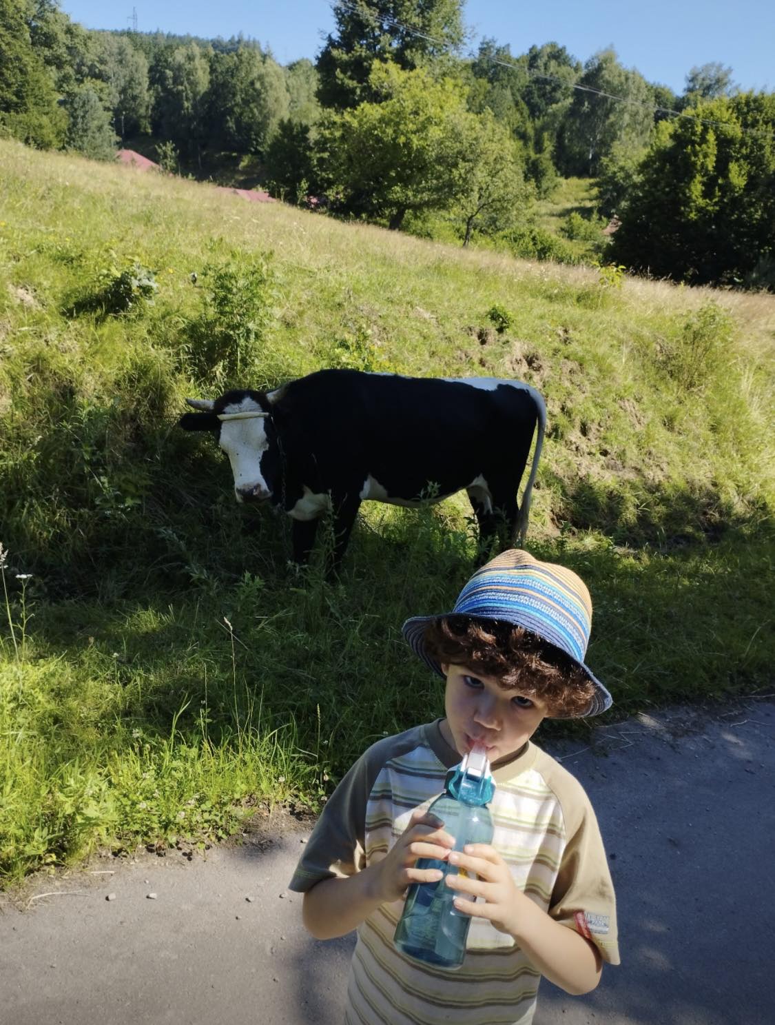 Хлопчик і корова у Карпатах