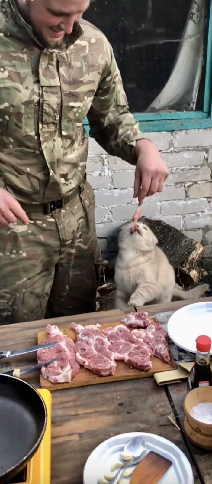тік-токер «Той повар з 0» годує кота
