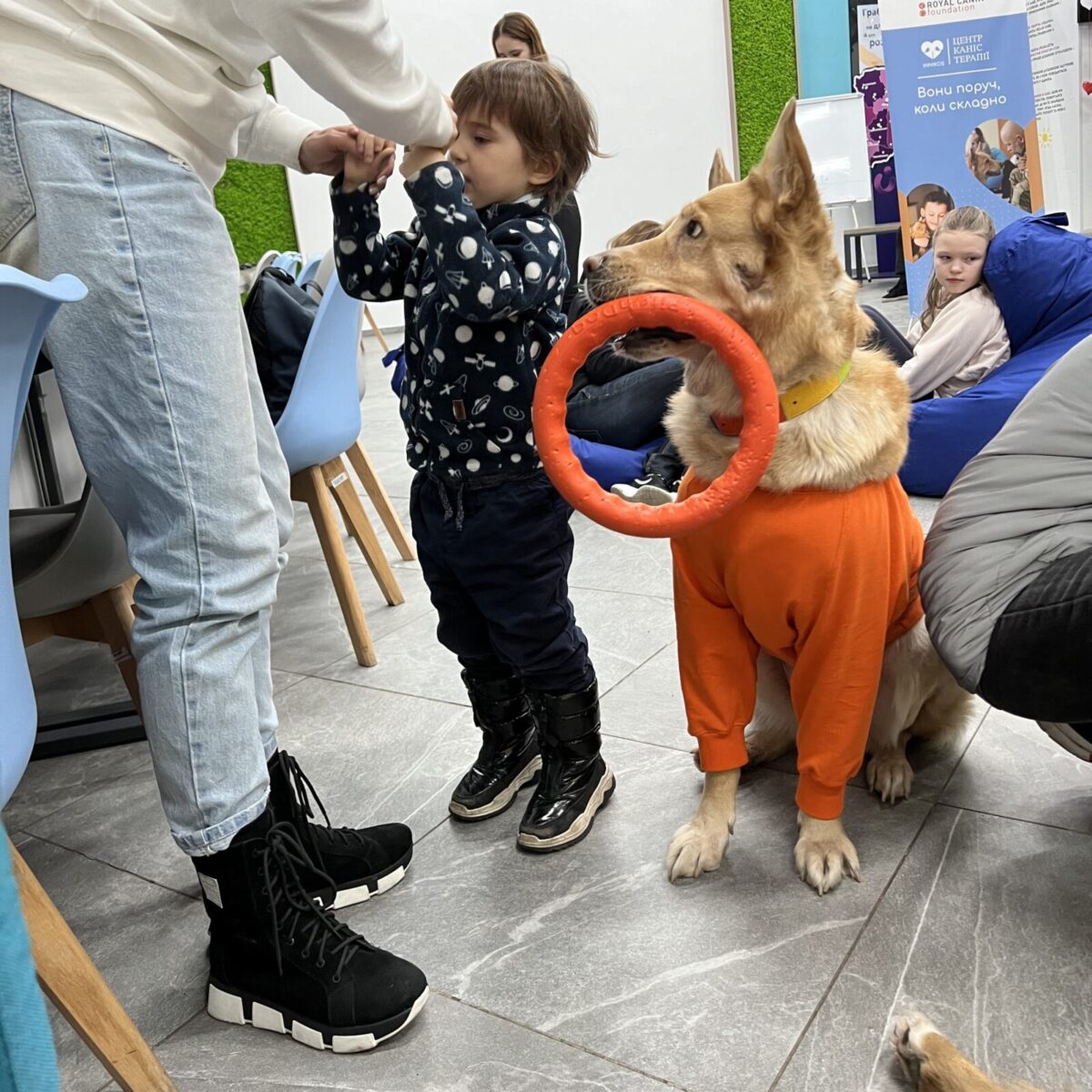 дитина і собака, собака з гумовим колом, гумове помаранчеве коло