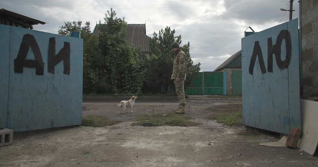 солдат, ЗСУ, собака, людина і тварина