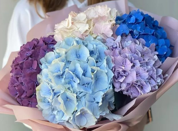 Купити букет із квітів на день народження й романтичну вечерю – є різниця у виборі рослин?
