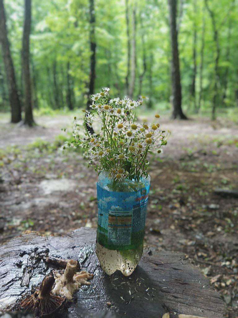 ромашки у пластиковій пляшці серед лісу