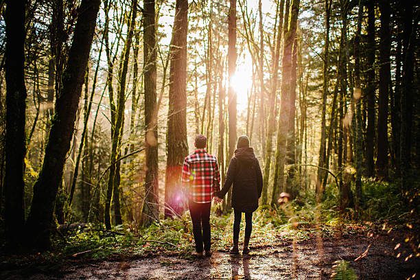 -A young couple pause during their hike to enjoy the sunset through the forest. They are holding hands and facing away from the camera while the sun shines all around them. The location is Forest Park located in Portland, Oregon.-62401